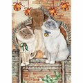 Pipsqueak Productions Cat Holiday Boxed Cards C878
